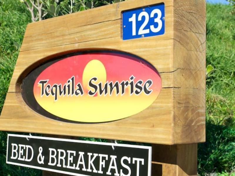 Napier B&B - Tequila Sunrise Eskdale Eksteriør bilde